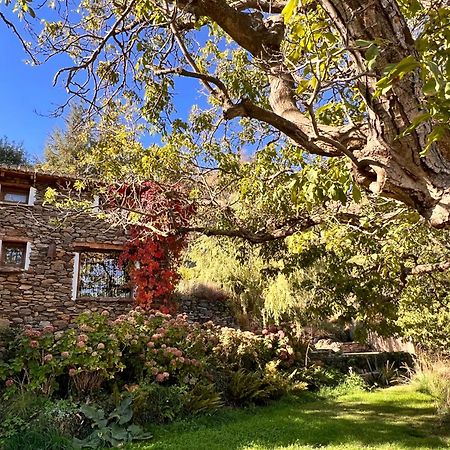 La Casa Del Nogal Villa Guejar Sierra Ngoại thất bức ảnh