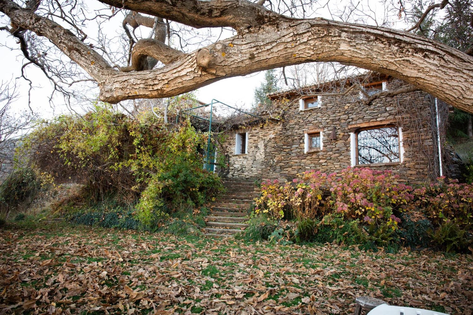 La Casa Del Nogal Villa Guejar Sierra Ngoại thất bức ảnh