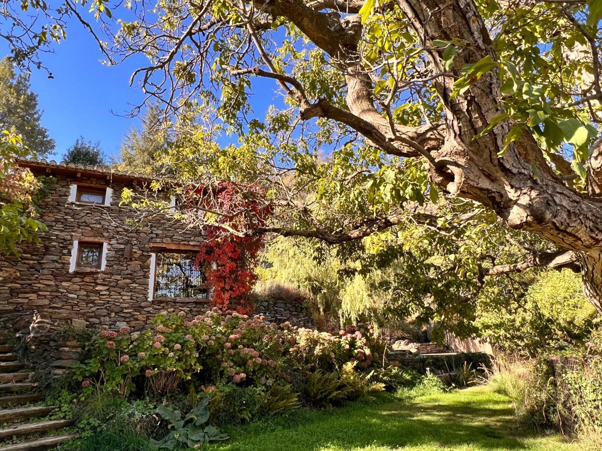 La Casa Del Nogal Villa Guejar Sierra Ngoại thất bức ảnh